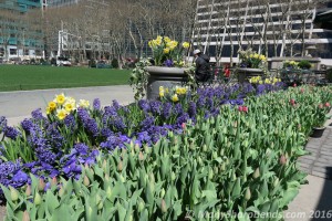 Bryant Park, Manhattan