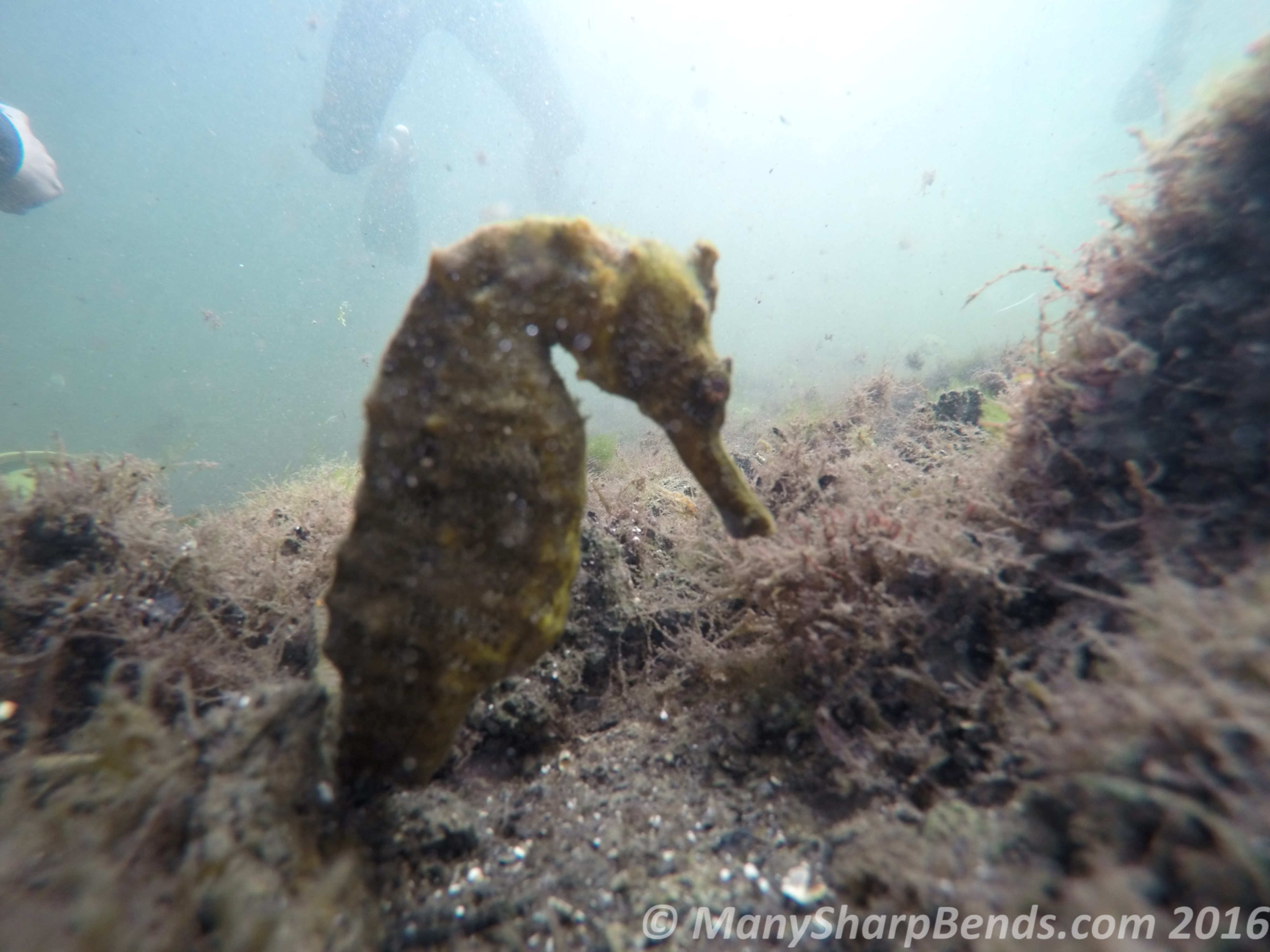 DCIM100GOPROGOPR1240.