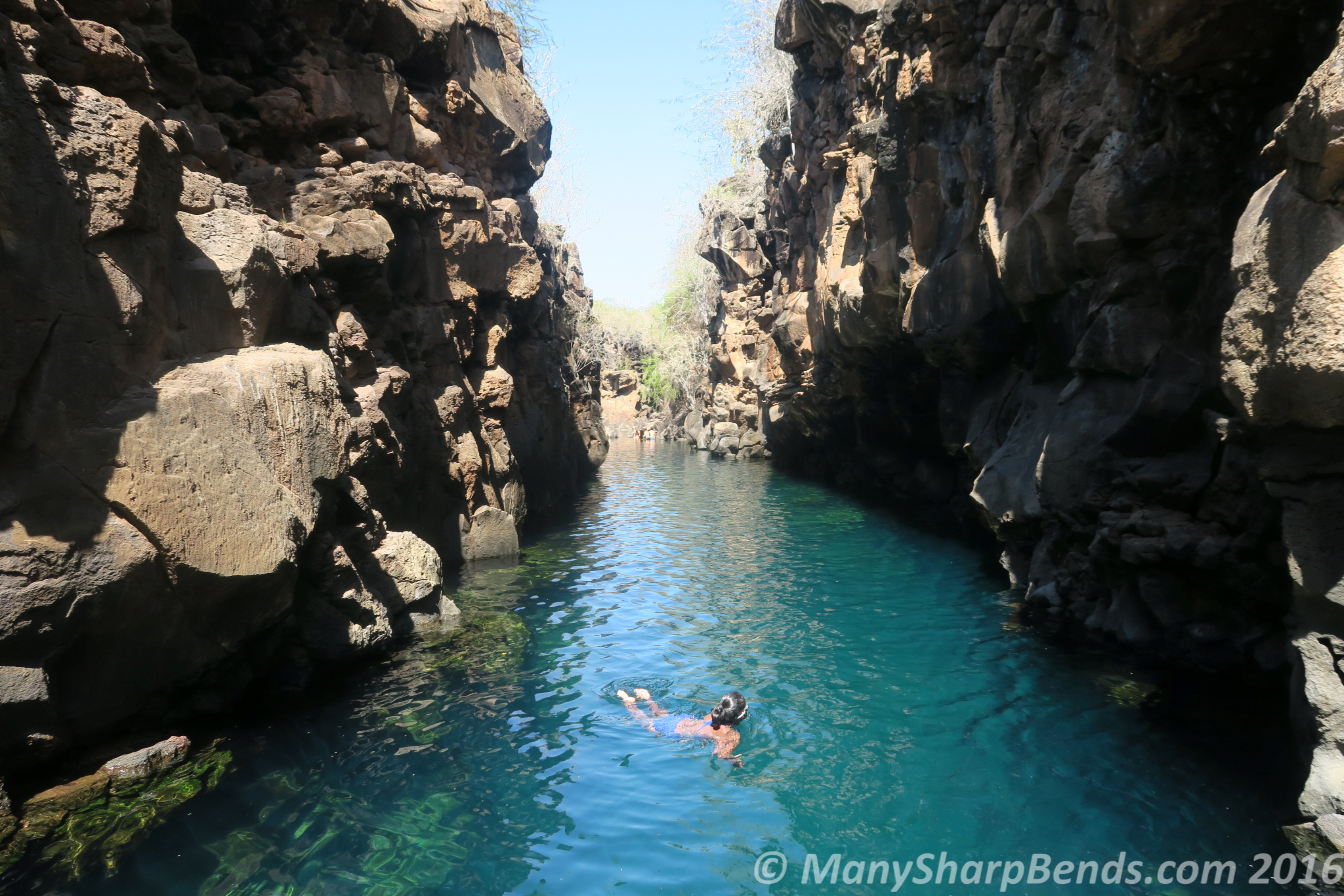 Las Grietas - a volcanic fracture where the cool ocean water mingles with rainwater to provide a deep blue "swimming pool" with the colourful parrot fish for company