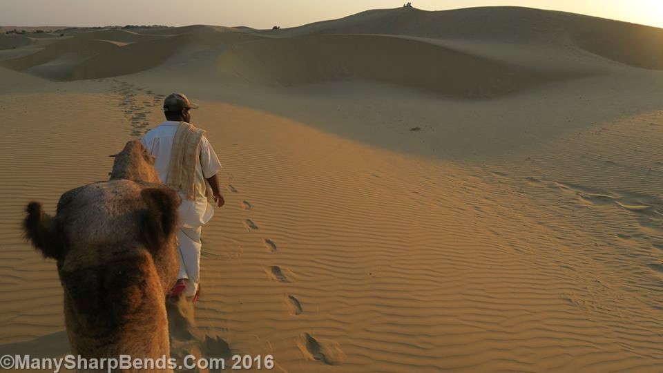 14720470_1139536966115235_5103260895849327636_n