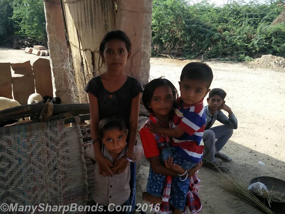 14725487_10209141171544434_8494637682167831244_n